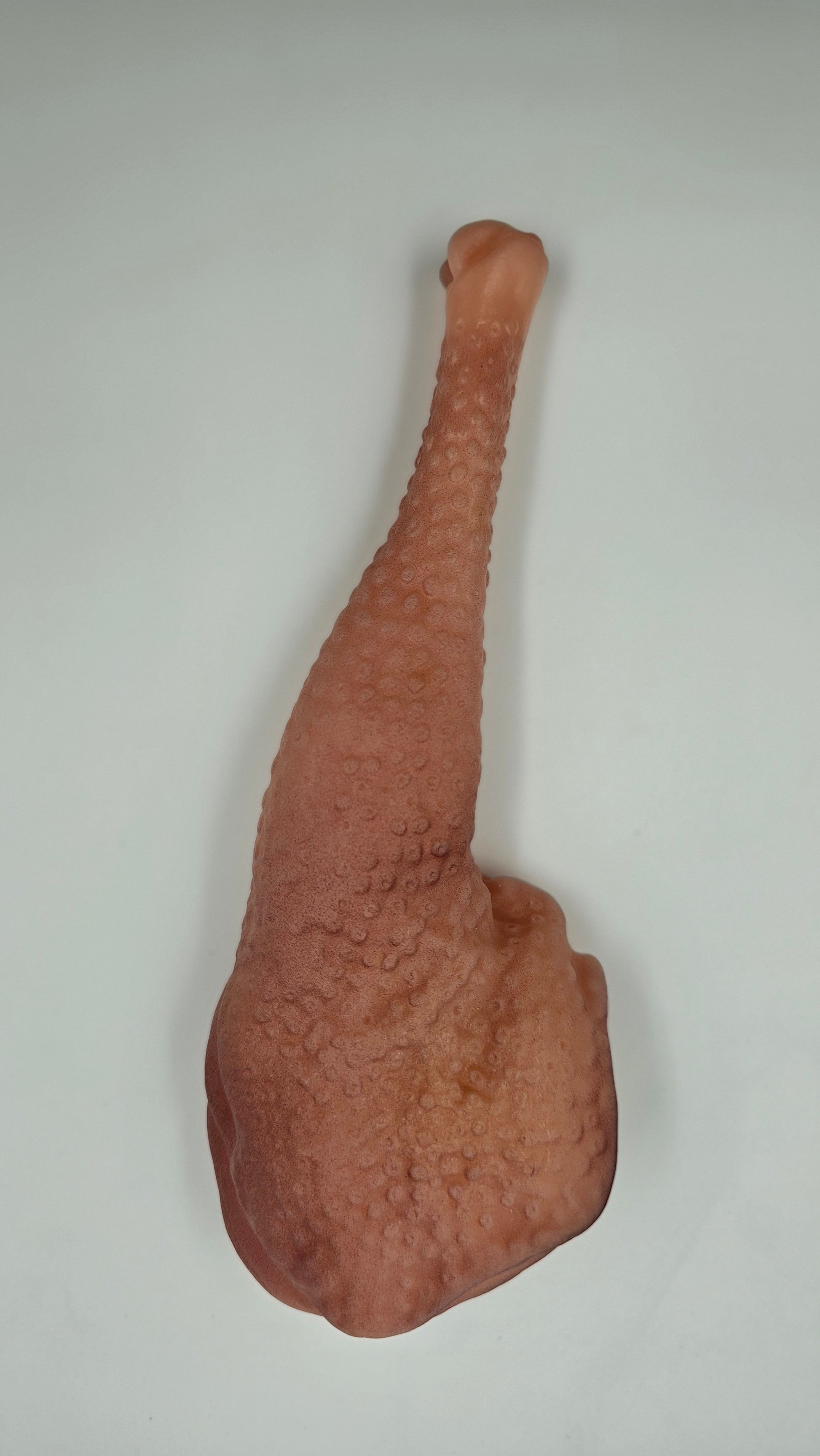 Realistic Chicken Leg Dog Chew Toy