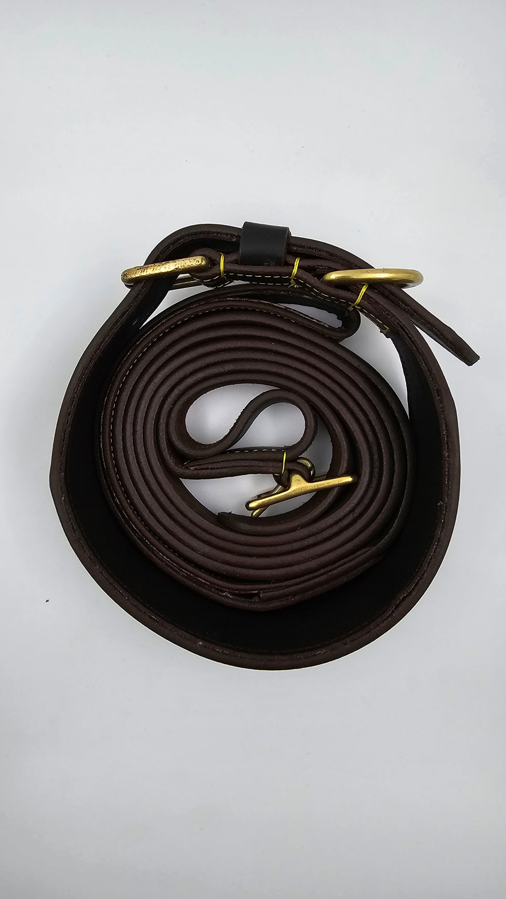 Premium Leather Dog Collar & Leash Set