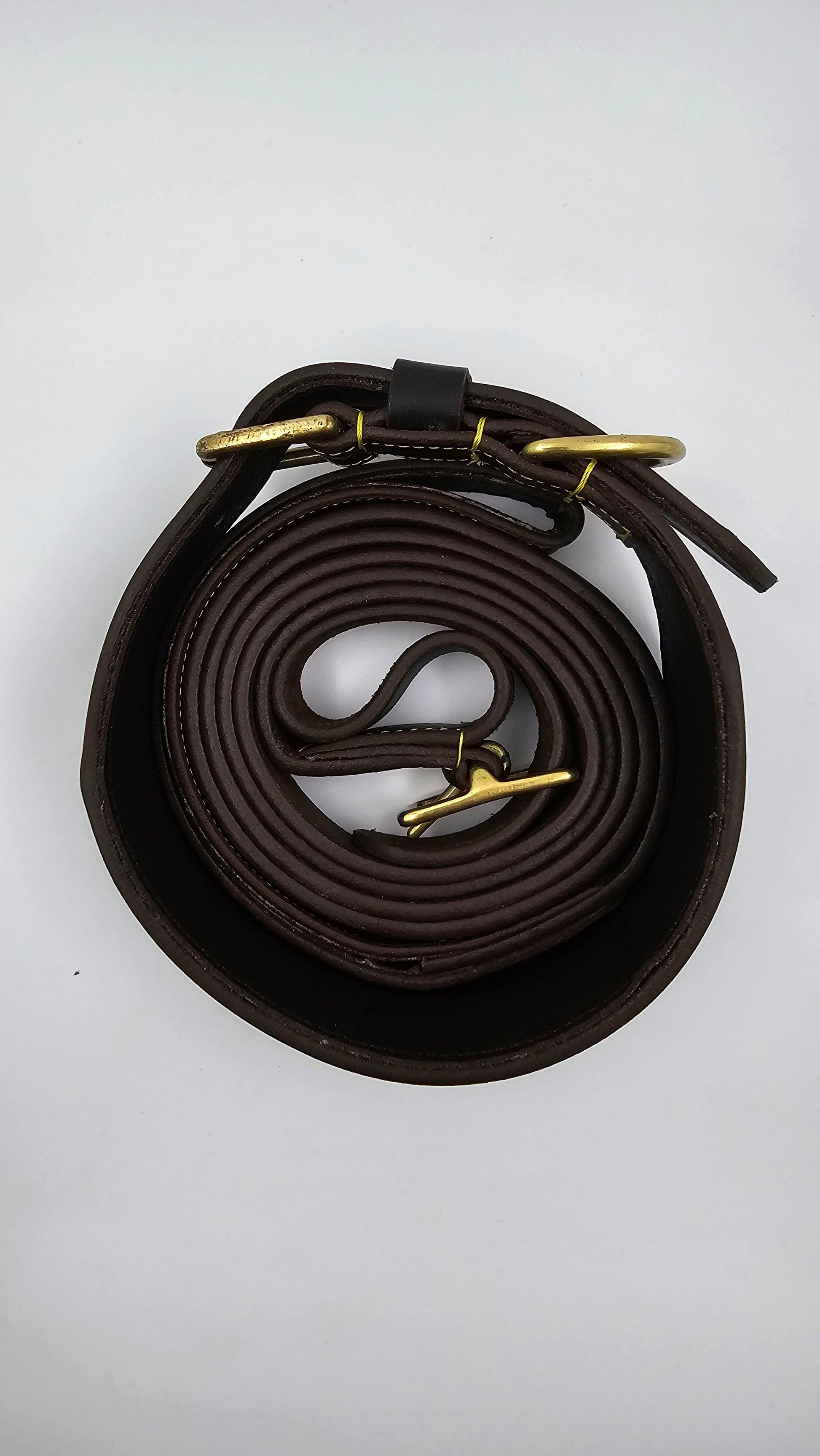 Premium Leather Dog Collar & Leash Set