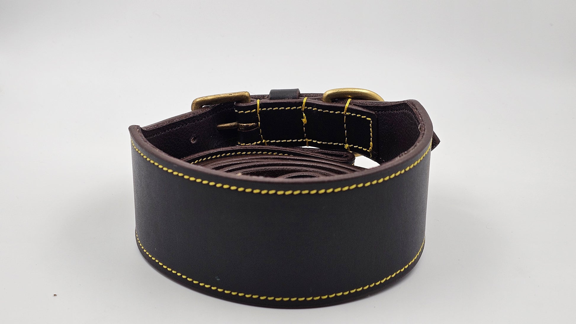 Premium Leather Dog Collar & Leash Set